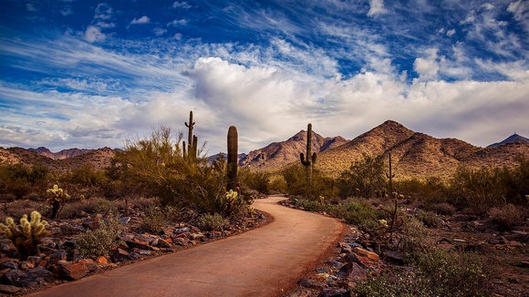 Into the Arizona Desert